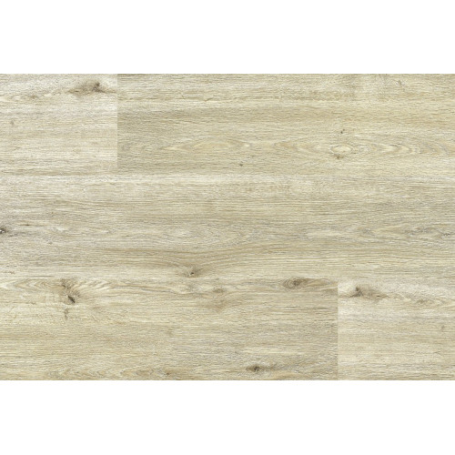 Extreme Click – RIGID