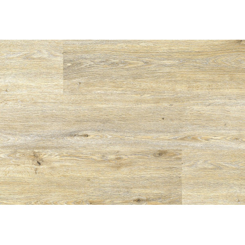 Extreme Click – RIGID