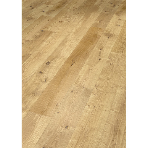 Dub Sofia country XXL