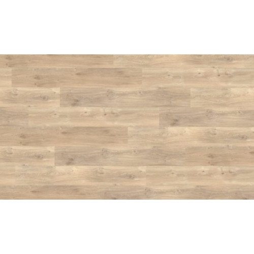 Dub jasmínový click