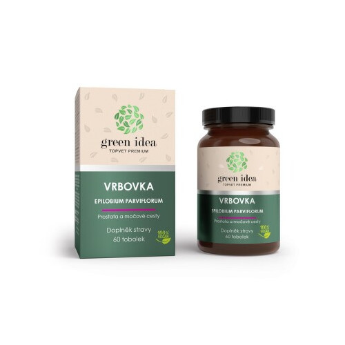 Vrbovka - Epilobium parviflorum